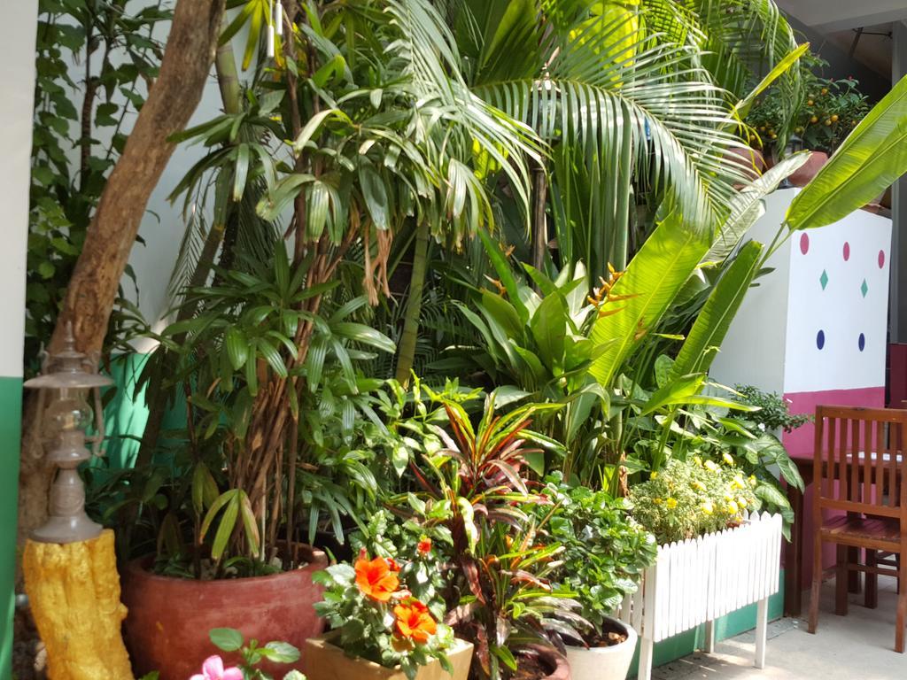 The Little Garden Boutique Hotel พนมเปญ ภายนอก รูปภาพ